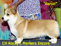 CH Rocky L Markers Encore