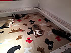 Pups at one week