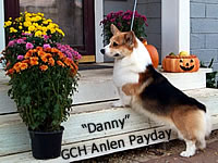 GCH Anlen Payday