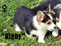 8 weeks