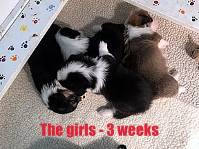 Week 3