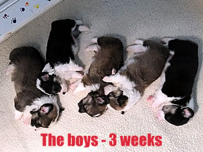 Week 3